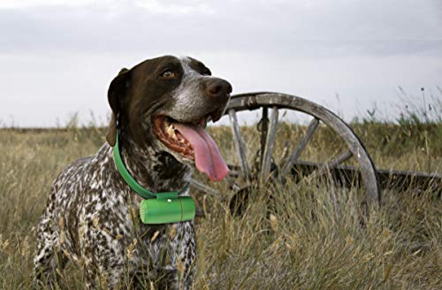 MultiSound [BEEPER-11 Collare per Cani da Ferma - Permette di Individuare Il Cane con Precisione Sia Durante la Battuta di Caccia Che in Fase di Addestramento.
