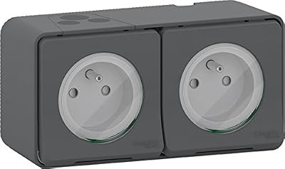 Schneider Electric SC5SHN0212456 Double Prise de courant 2 Pôle + Terre Horizontale mureva saillie, 250 V, Gris
