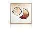 Ghost Eclipse Gift Set– 2 Piece set