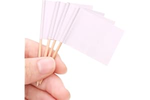 H&S Bandierine Stuzzicadenti in Legno per Antipasti - 200 Pezzi - Etichette a Bandierina per la Decorazioni di Prodotti Alimentari per Feste - Per Cupcake, Torte e Feste di Compleanno