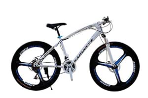 hamilton cycles amazon