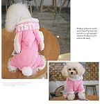 ViiNA-Felpe-Cotone-Invernale-Autunnale-Pet-Vestiti-del-Cane-per-Cani-Gatti-Felpa-con-Cappuccio-di-Piccola-Taglia-del-Caldo-Cappotto-Costume-Giacca-Yorkies-Chihuahua-Vestiti