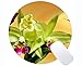 Produktbild Runde Mausunterlage fertigen, Orchideen-weißes Orchideengelb kundenspezifisch an Mousepad