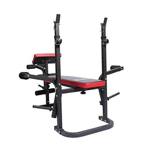 ISE Banco de Musculación Multifuncional Inclinable para Entrenamiento Completo, Banca de Peso Ajustable Plegable Fitness Doméstico para Casa, Máx 150KG SY-5430B
