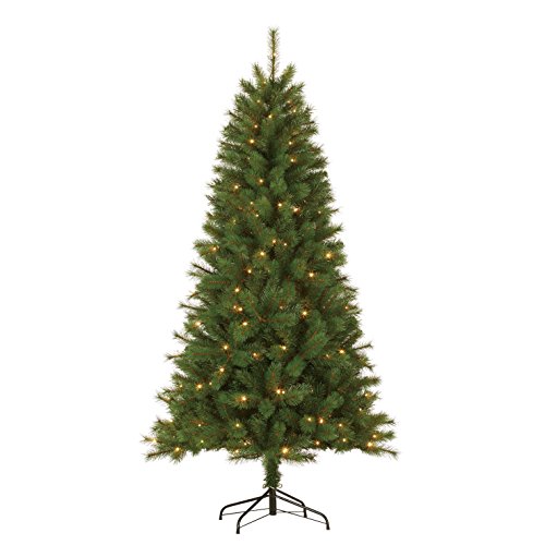 Black Box Trees 379106-01 Künstlicher Weihnachtsbaum Drummond Beleuchtet Höhe 185 cm Durchmesser 99 cm, 140 LED`s warm weiß, 488 Zweige, PVC Hart und Weichnadel
