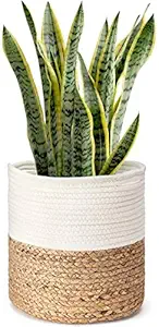 pepme Jute Cotton Planter Basket, 12 Inches for Plant Pot Storage (White, Beige, Plain, Pack of 1)