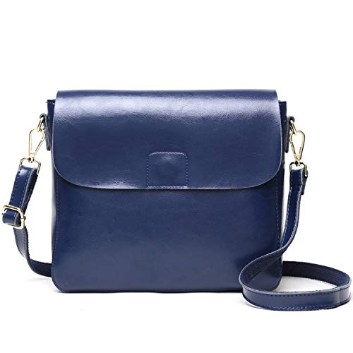 IWGR Small Crossbody Bags Shoulder Bag for Women Stylish Ladies Messenger Bags Cloth Tote Bag
