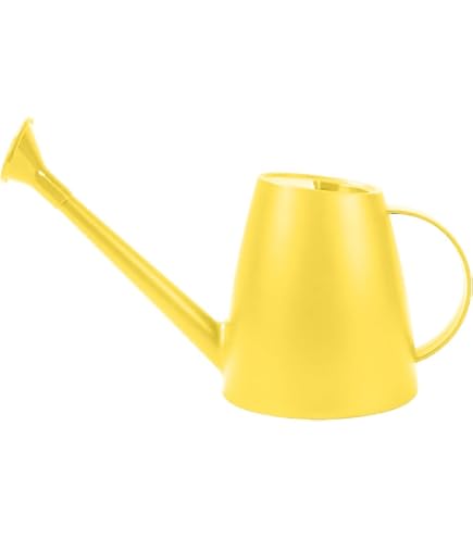 Arrosoir Fityle 3L - Longue Buse Amovible | Léger Et Anti-Fuites | Pour Plantes Intérieur/Extérieur | Poignée Confortable