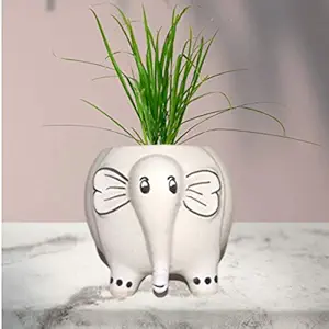 Craft Cloud Decorative Elephant planters for Home Decor | White Elephant Plant Holder | Ceramic Planter | Bonsai and Succulent Flower Plant Pot