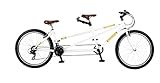 2013 Viking Companion Tandem 17
