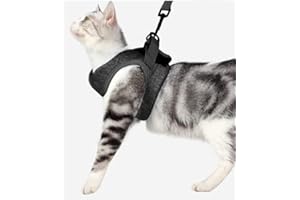 Crea CLEA- Pettorina per gatti ultra leggera e confortevole,con guinzaglio. (M, Nero)