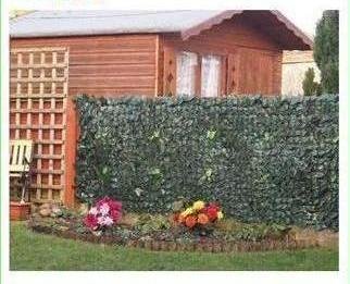 Garden Fence Panels: Amazon.co.uk