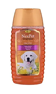 Medfly NexPet Herbal Anti Tick Shampoo for Dogs with Premium Essence (60 Washes, 375 ml)