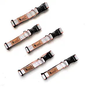 Reflective Collar for Street Dogs | Adjustable | Durable | Color- Orange | 5 pcs