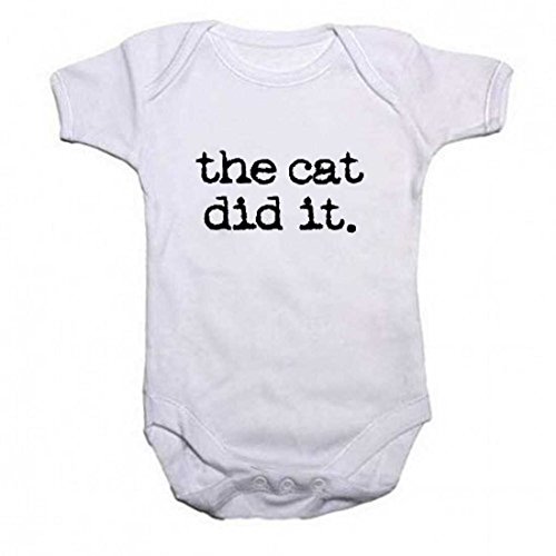cat baby grow