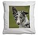 Produktbild Advanta blau Merle Border Collie Hund Weiches Samt Gefühl Kissenhülle mit Innenkissen, Polyester, mehrfarbig, 36 x 36 x 12 cm