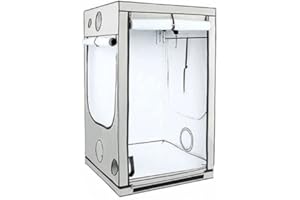 Growboxen Homebox Ambient Q120+ (Schwarz, 120x120x220cm)