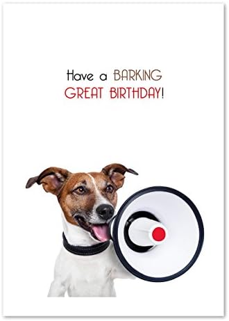 A barking birthday - A3 Art Print