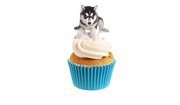 husky cupcake toppers