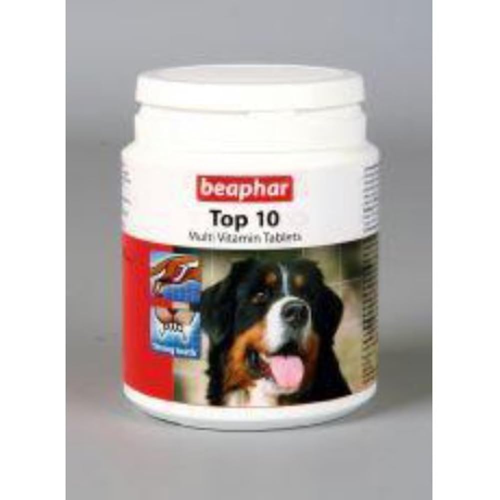 Витамины для домашних питомцев. Витамины для животных грызунов. Витамины для животных человеку. Витамины для животных человеку. Витамины для кошек для шерсти.