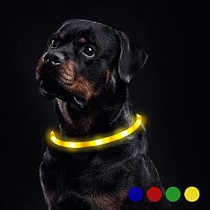 Toozey Luminoso Collares para Perro LED Durante 20 Horas de Luz Continua Impermeable, USB Recargable Cortable Tira de Luz para Collar de Perro de Seguridad Nocturna – 3 Modo (Azul)