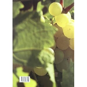 Aplicació de les millors tècniques disponibles en l'elaboració de vi i cava (Documents Referència sobre les MTD Aplicables a la Indústria, Band 1