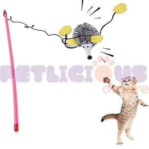 Petlicious & More Cat Teaser Playing Stick & Feather Hedgehog Interactive Teasing Wand Toy with Sound (Pack of One, Color May Vary)