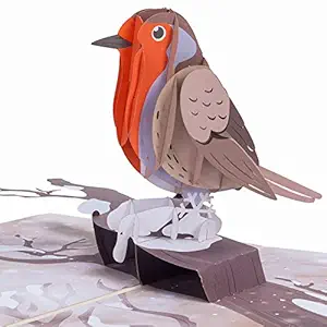 Paper Love Robin Pop Up Card, Handmade 3D Popup Bird Greeting Cards, For Winter, Christmas, New Year, Holidays, Birthday, Valentines Day, Thinking of You, Thank You, All Occasion | 5