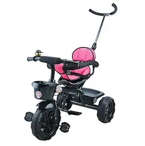 Toyzoy Maple Grand Kids|Baby Trike|Tricycle with Safety Guardrail for Kids|Boys|Girls Age Group 2 to 5 Years, TZ-531 (Pink)