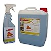 Grillreiniger Beclean Cleanstar 5 L Kanister Mit Sprhflasche