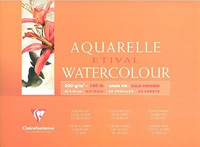 Clairefontaine 96472C - Un bloc encollé 4 côtés Papier Etival Grain fin 25 feuilles 30x40 cm 300g