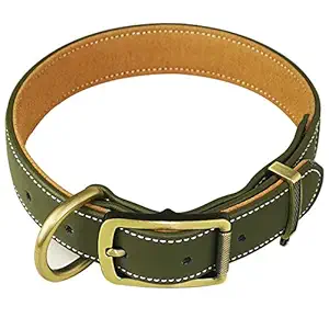 chede Basic Classic Padded Leather Dog Collars,Hair Clip-Proof Dog Collar,Alloy Hardware D-Ring for Small Medium Large and Extra Large Dogs (XS, Green)