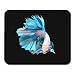 Produktbild Mouse Pads Aquatic Colorful Animal White and Blue Siamese Fighting Fish Betta Black Exotic Action Mouse Pad