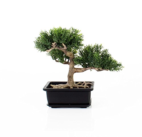 Künstlicher Bonsai Zeder im Töpfchen, ca. 23 cm – hochwertiger Kunstbonsai - 3