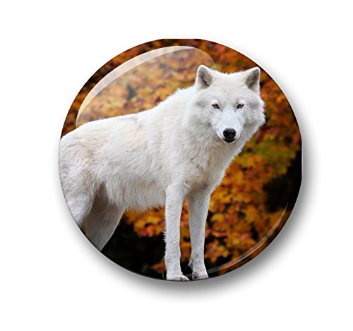 Wolf Wölfe Grauwolf europäischer Wolf – 6 große Kühlschrankmagnete Ø 5 cm [ 02 ] für Memoboard Pinnwand Magnettafel Whiteboard - 7