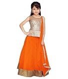 Clickedia Kids wear Girls Orange Net Lehenga Choli/ Chaniya Choli with Gota patti for Festive???? Diwali and wedding - traditional wear ( 8-12 yrs)- Semi-Stitched alterable RS.279 (86.00% Off) - Amazon