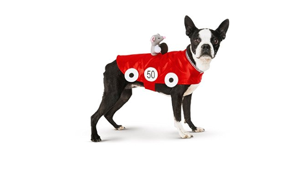 Petco Dog Halloween Costumes 2022 Petco Halloween Racecar Dog Costume Small Amazon In Pet Supplies