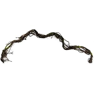 Hobby 37010 Liana / Liane, L