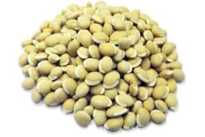 JALPUR Navy-Bohnen im Ganzen - 500 g