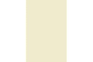 Netuno 50 hojas de papel crema A4 210x297 mm 120g Olin papel natural para impresora cartas informes folletos sobres manualidades tintas y láser