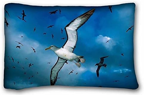 Soft Pillow Case Cover (Animals gulls flocks sky clouds birds sea) Custom Cotton & Polyester Soft Rectangle Pillow Case Cover 20x30 inches (One Side) suitable for Twin-bed PC-Green-32766