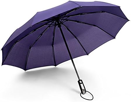 Cocogo 10 Ribs Travel Umbrella Windproof Automatic Folding Travel Umbrella with Auto Open and Close (2Purple)