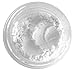 JTshop Superior MINERAL SETTING POWDER Finishing Veil 100% Natural Vegan Face Powder (1g sample in a zip bag)