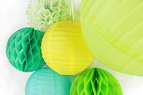 SUNBEAUTY 6er Set Grüne Deko Papier Blumen PomPoms Wabenbälle Lampion Zimmer Feier Dekoration - 2