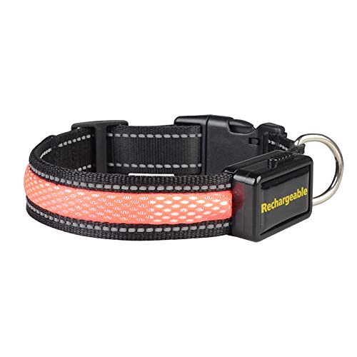 IXIGER Collier LED pour Chien Rechargeable par USB avec lumière Clignotante résistante à l'eau