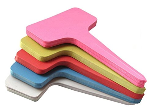 Meta-Label - Etiquetas de plástico grueso para las plantas, tipo T, impermeables, indicadores para semillero o huerto (6 x10 cm)