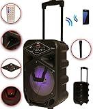 Lautsprecher 8 Inch (20,3 cm), Leistung: 400 W. RMS und Disco Lichter