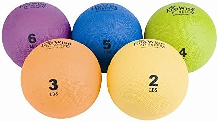 EcoWise Weight Ball (5 lbs. - Blue Dahlia)