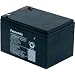 Produktbild PANASONIC BLEI-AKKU 12V 15AH ZYKLENFEST