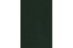 LULIZZIE 1 Bogen Bastel-Filz 20 x 30 cm - Stärke: 2mm - Farbe nach Wahl (Schwarz)